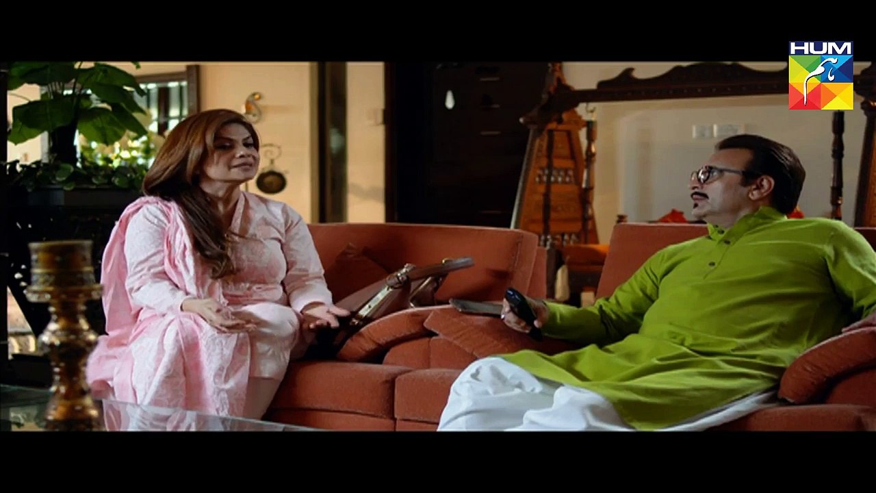 ▌ Haya Kay Daman Main ➤ Episode 12 ▌ 14 April 2016 [ Full HD Pakistani Hindi Tv Drama Episodes]