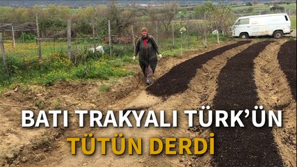 Batı Trakyalı Türk'ün tütün derdi