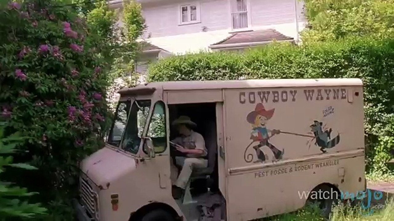 Top 10 Hilarious Animal Attack Scenes in Movies