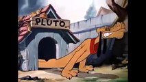 Walt Disney Cartoon Favorites (Pluto Over 1 Hour Full Episodes)