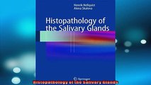 READ book  Histopathology of the Salivary Glands  BOOK ONLINE