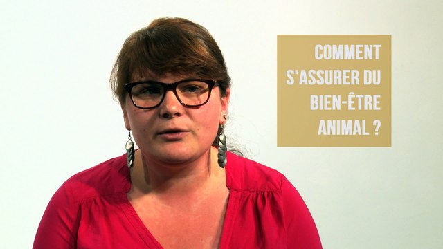 Le rôle des services vétérinaires en abattoir (1/2)