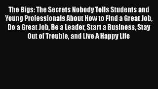 [Read book] The Bigs: The Secrets Nobody Tells Students and Young Professionals About How to