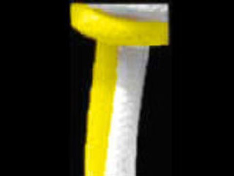 Bapteme 2007 Capoeira Senzala Paris