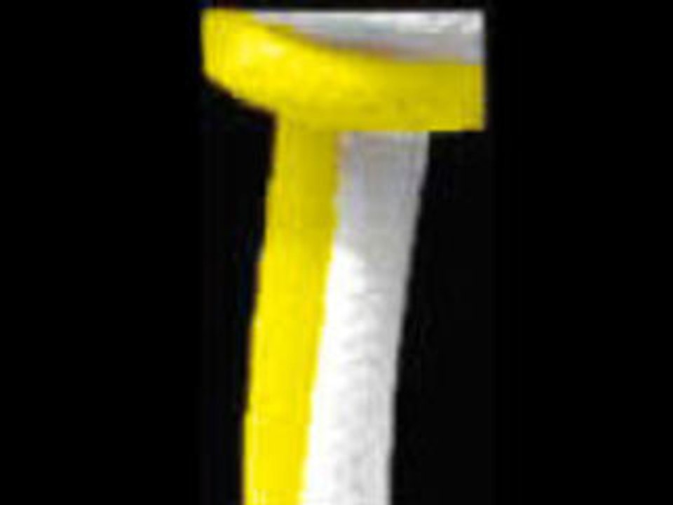 Bapteme 2007 Capoeira Senzala Paris