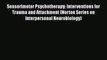 Download Sensorimotor Psychotherapy: Interventions for Trauma and Attachment (Norton Series