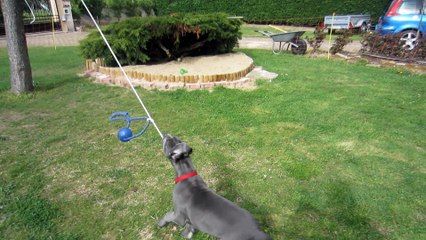 Le Joujou qui rend fou !