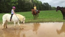 Un poney troll une petite fille sur son dos en la faisant tomber dans une flaque d'eau