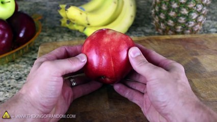 Le « food art », le nouvel art de la table qui va vous enchanter !