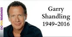 Garry Shandling Death The Best Of Garry Shandling 2016