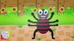 Incy Wincy Spider (Itsy Bitsy Spider) Nursery Rhyme  | Kids Animation Rhymes Songs