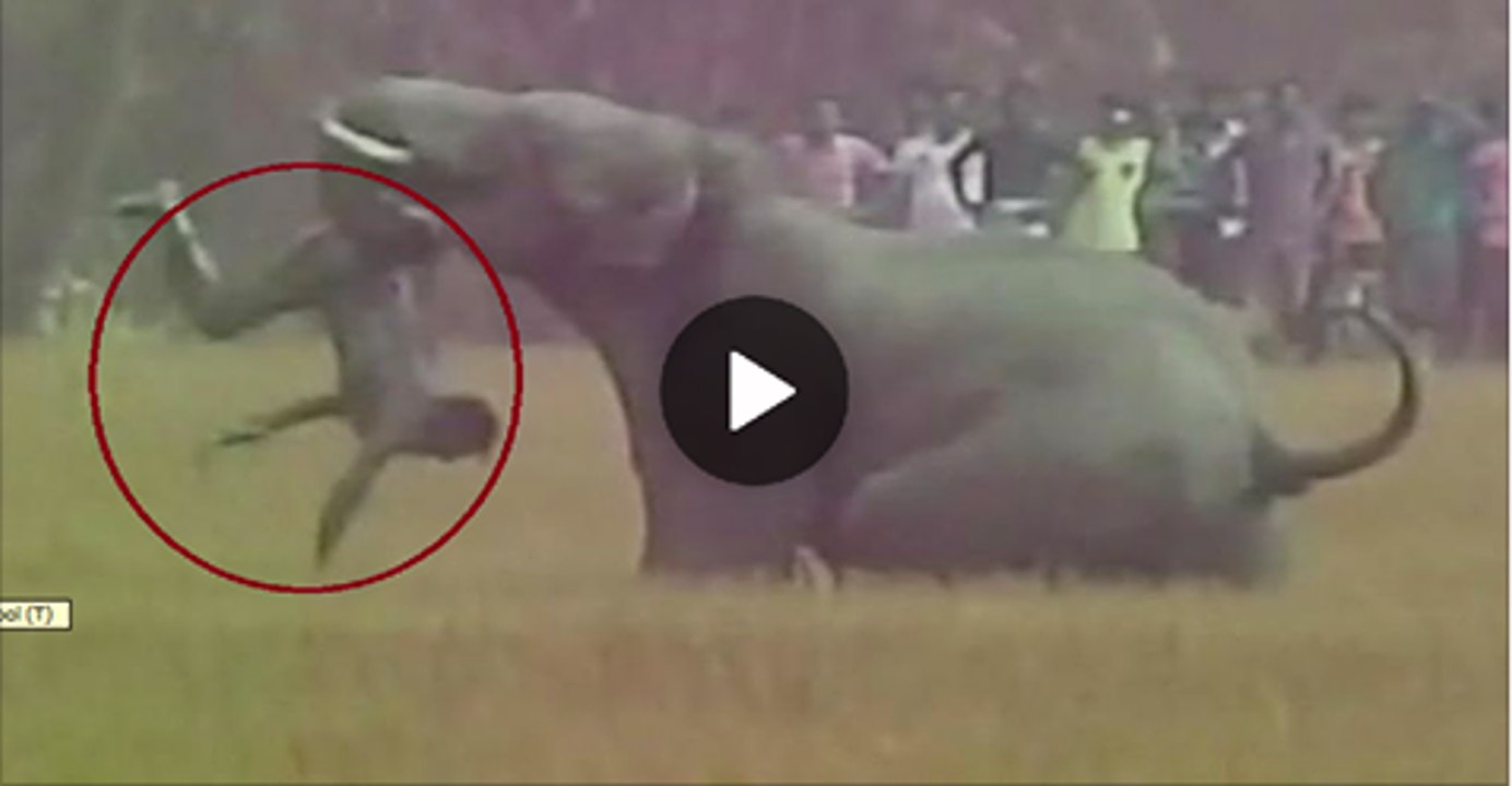 Elephant kills man after rampaging into village and launching brutal attack caught on camera