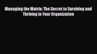 [Read book] Managing the Matrix: The Secret to Surviving and Thriving in Your Organization