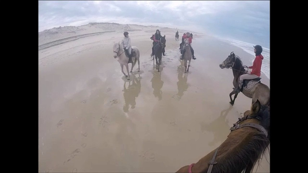 arrivée plage biscarrosse avril 2016