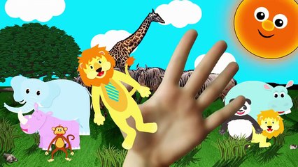 Lion Finger Family Nursery Rhymes | Animal Finger Family Song | Lion Finger Family Song