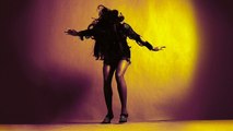 The Last Shadow Puppets - Miracle Aligner (Official Audio)