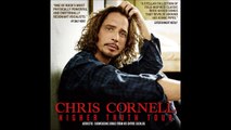 Chris Cornell - Fell on black days (live in Zagreb)