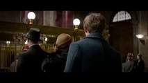 Fantastic Beasts and Where to Find Them Official Teaser Trailer