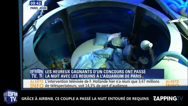 Grâce à Airbnb, ce couple a passé la nuit entouré de requins ! La vidéo choc