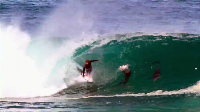 Ce surfeur partage une vague avec un dauphin : magique