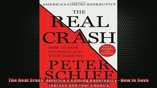 READ book  The Real Crash Americas Coming Bankruptcy  How to Save Yourself and Your Country READ ONLINE