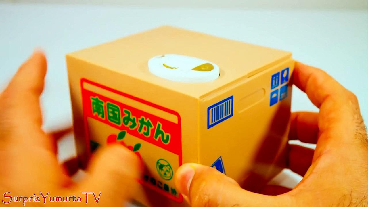 30.000 Abone ve SYTV 2. Çekilişi - Hırsız Kedi Bozuk Para Kumbarası Oyuncak Çekilişi