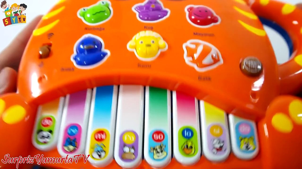 Oyuncak Müzikli Işıklı Hikaye Anlatan Çocuk Şarkıları Oyuncak Piyano #SYTV Hayvanları Tanıtıyor
