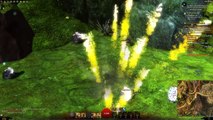 Guild Wars 2 (PC) - Abenteuer - Käferschmaus - Gold