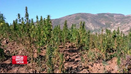 Aux Royaumes du Shit (Partie 1)