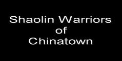 Shaolin Warriors of Chinatown - Demo Video