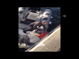 Denizde kedi kurtarma operasyonu