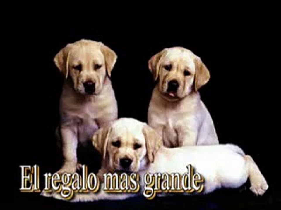 El regalo más grande Letra