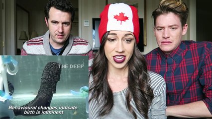 Moving to Canada: Essential Tips 🇨🇦