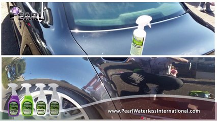 The Car Care Business-Pearl Waterless International