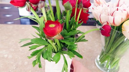 VLOG: ВЫБИРАЕМ СУПЕР ПИЦЦУ! 04.03.16