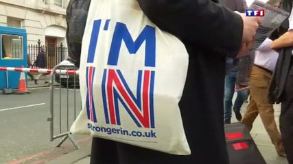 Brexit : lancement officiel de la campagne outre-Manche