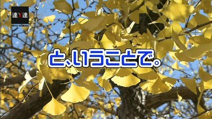 達人 志村 Peフューム20151114