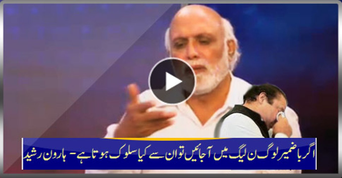 PMLN Vision For Vigilant And Consciousness People In Party