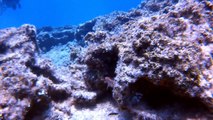 Diving Cyprus Ayia-Napa 02