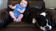 Tiny Baby Poops His Pants. Now Watch The Dog’s Reaction. HILARIOUS!