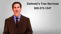 Marinette County Tree Removal | Zielinski's Tree Services 920-373-1547