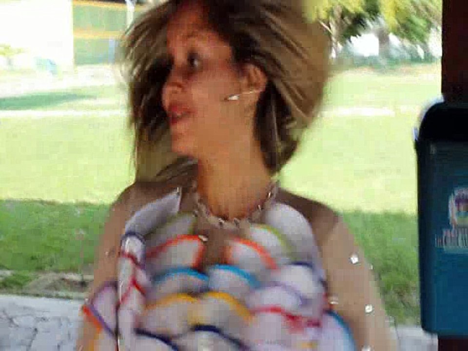 VOANDO PRO PARÁ - VERSÃO 2