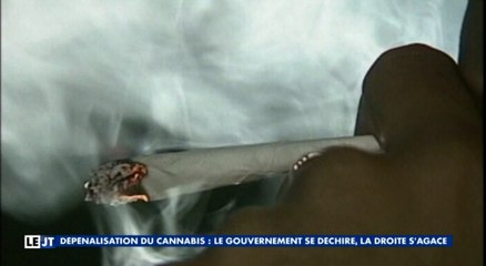 La dépénalisation du cannabis bientôt en France ? - ZAP ACTU de la semaine du 16/04/2016