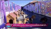 Merve Çaloğlu röportajı | Magazin 8 Extra | 20 Mart 2016