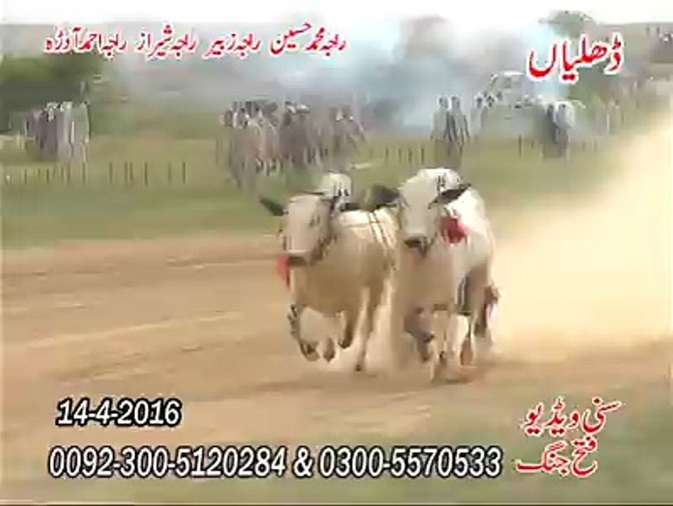 T.A.M.A.S.H.A ڈھلیاں جلسہ
