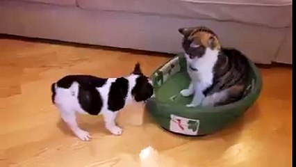 this is my bed. get out pacman emoticon