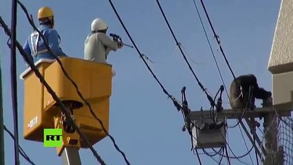 Vea lo que se atrevió hacer este mono al escaparse de un zoológico