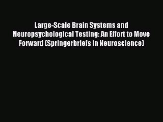 Read Large-Scale Brain Systems and Neuropsychological Testing: An Effort to Move Forward (Springerbriefs