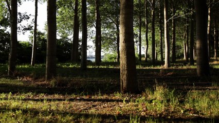 Portrait Brigitte Bauer - France(s) territoire liquide