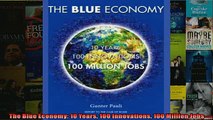 Free PDF Downlaod  The Blue Economy 10 Years 100 Innovations 100 Million Jobs  FREE BOOOK ONLINE